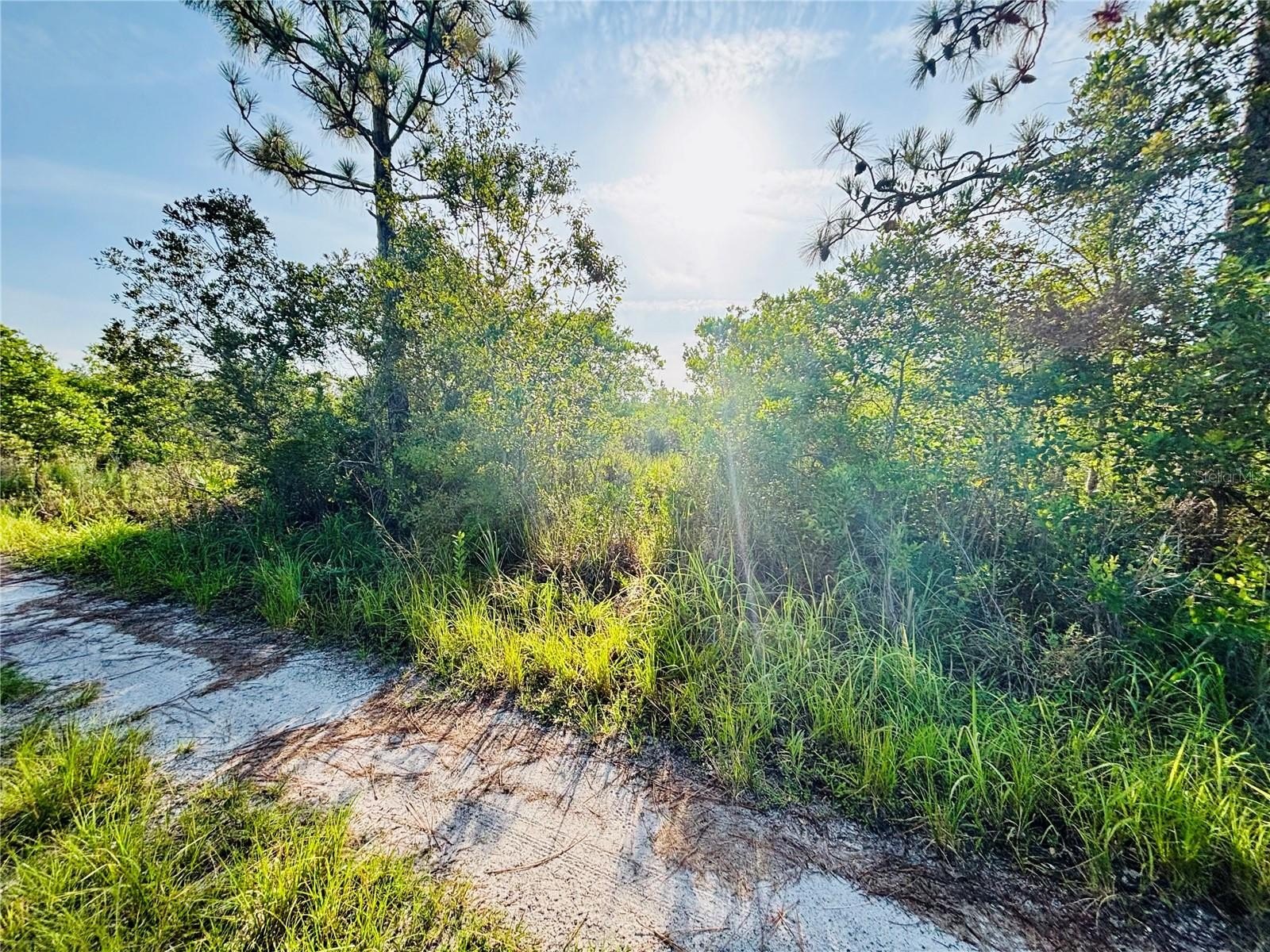 Land Near Popular Florida Destinations