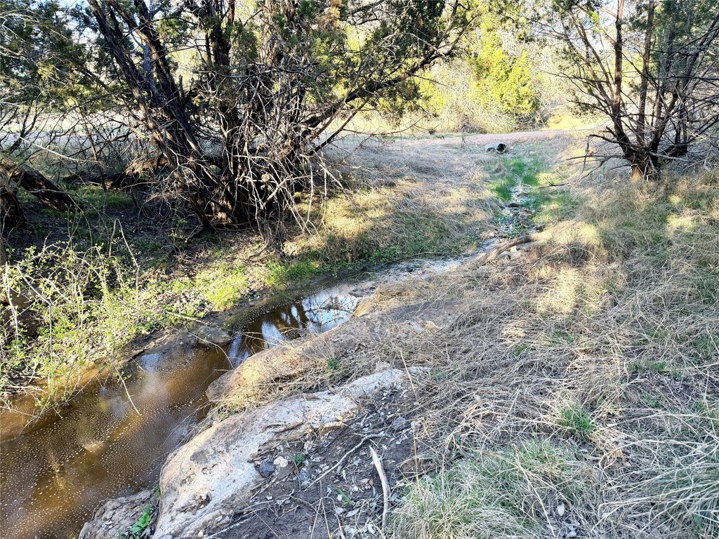 Picture 37