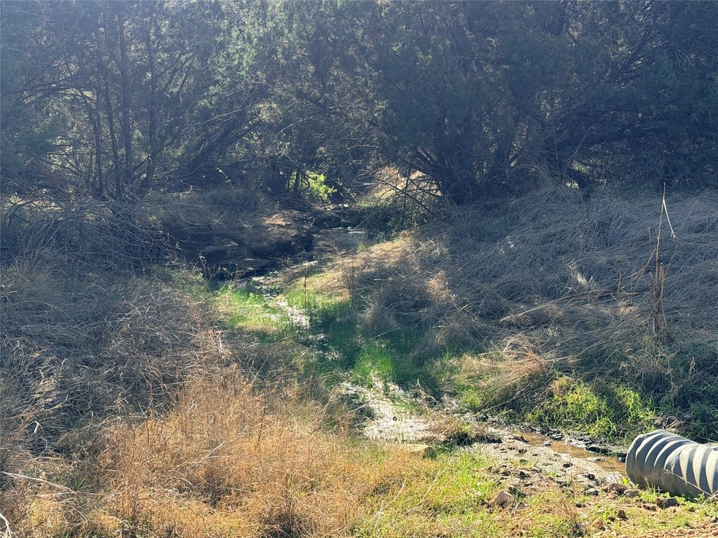 Picture 12
