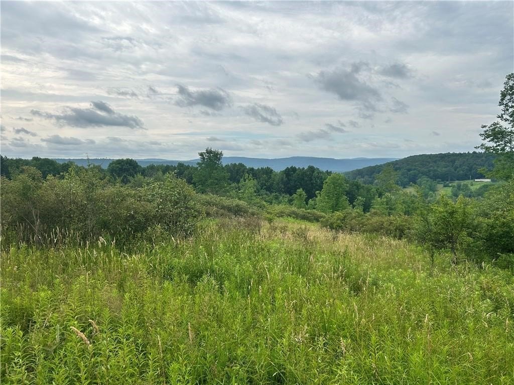 Unadilla Land with Scenic Views