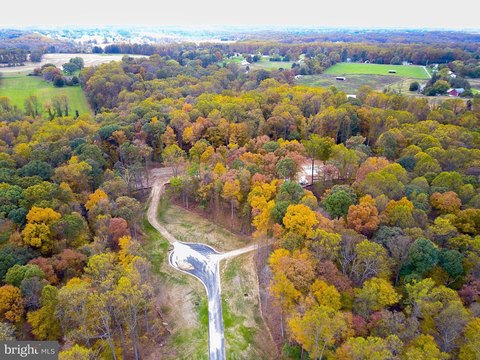 Wooded Lot in Forest Hill