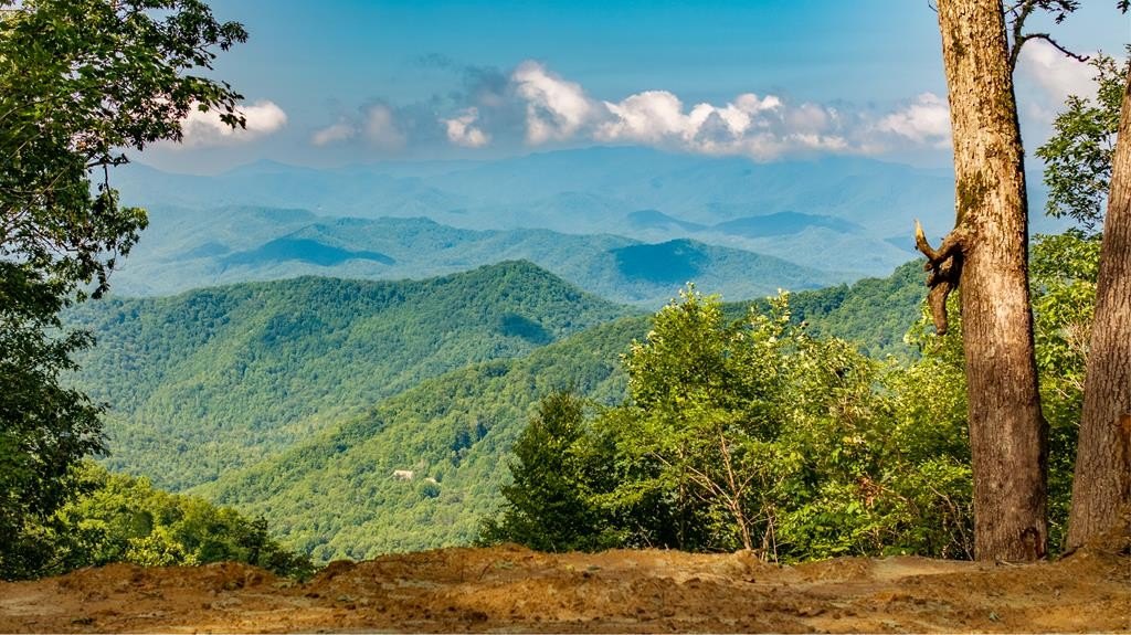 Mountain View Land in Bryson