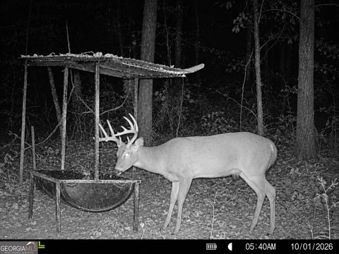 Land, Woodbury, GA