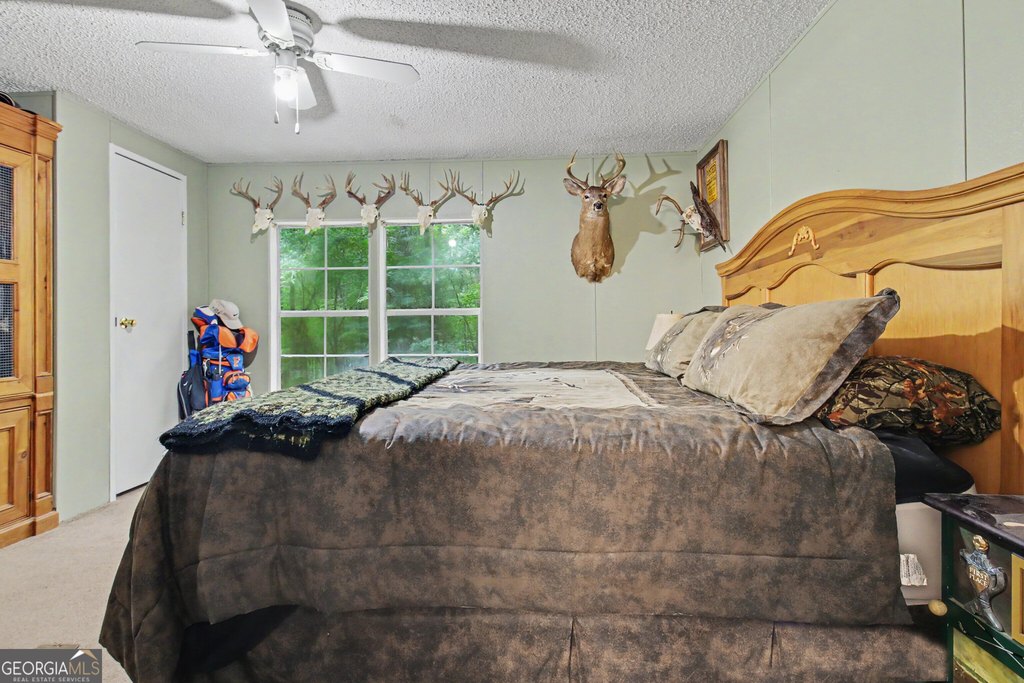 Picture 41