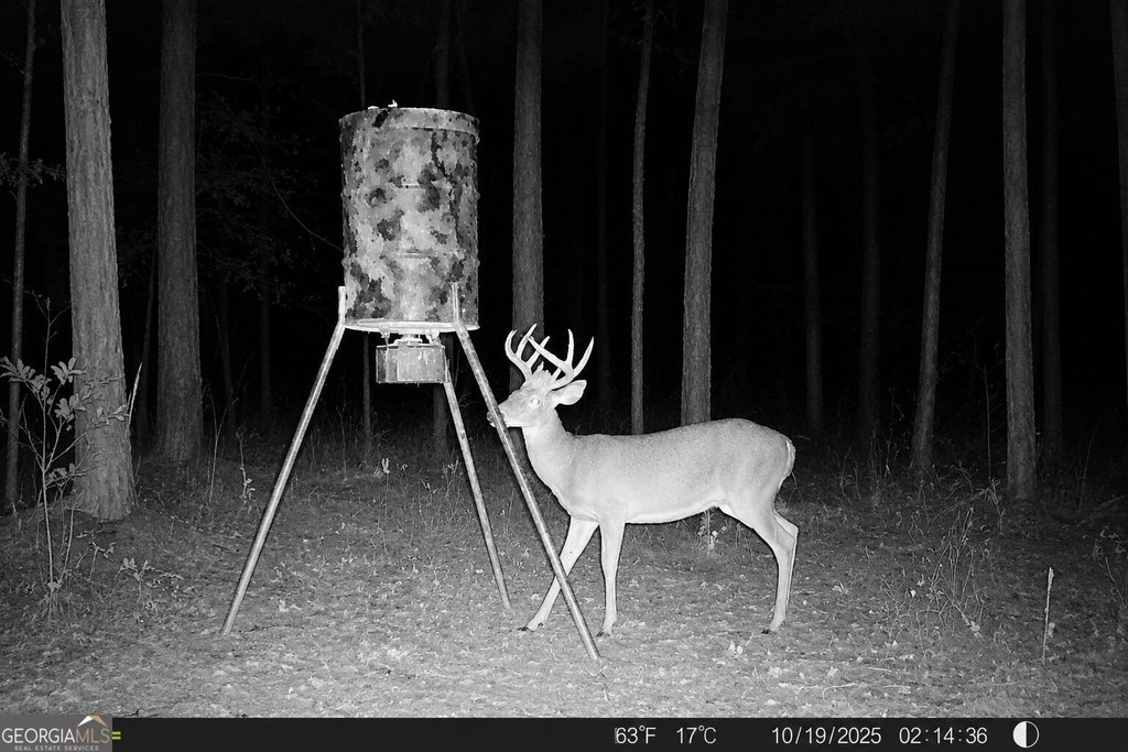 Picture 4