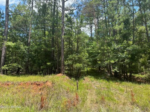 Land, Sparta, GA