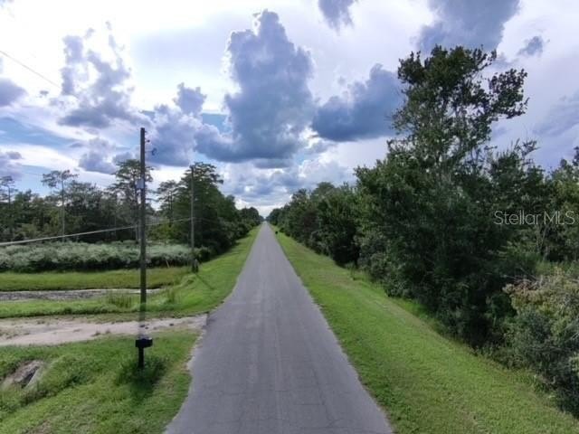 Picture 5