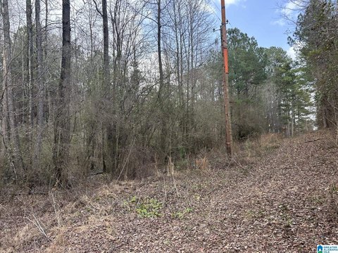 LAND/LOTS, MULGA, AL
