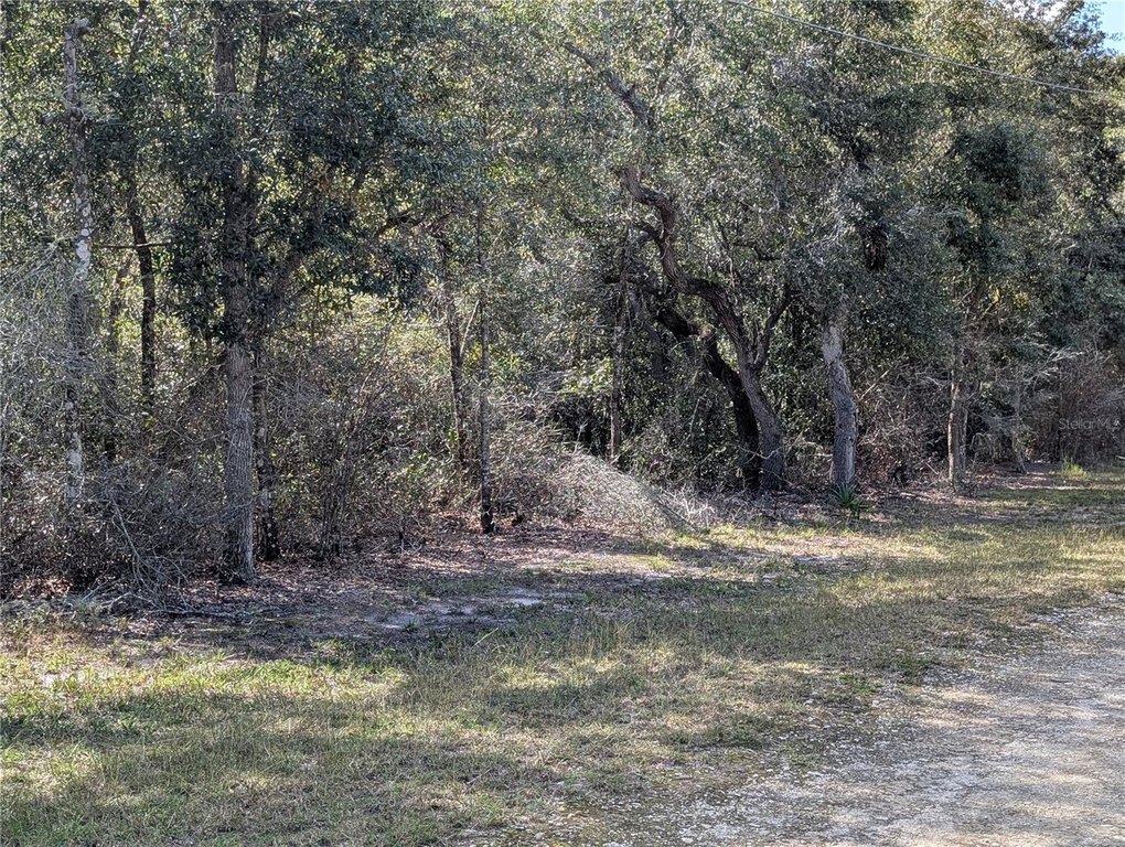 Picture 6