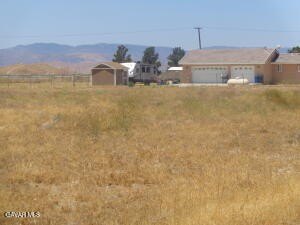 Picture 12
