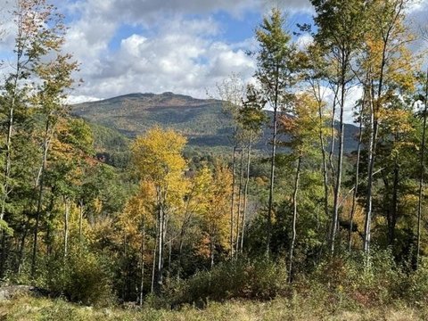 Land, Rumney, NH
