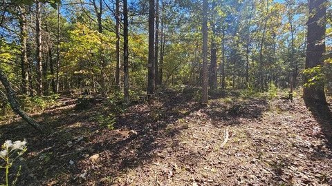 Ozark Land Near Bull Shoals