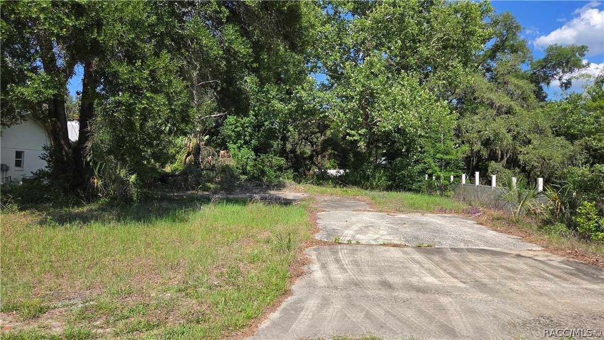 Crystal River Vacant Lot