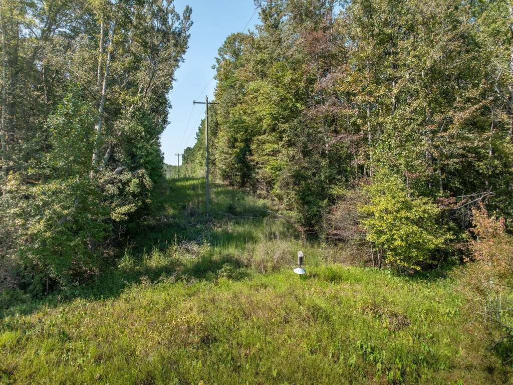Picture 30