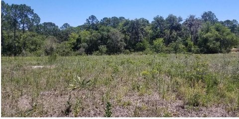 Vacant Residential Lot on Cul-de-Sac