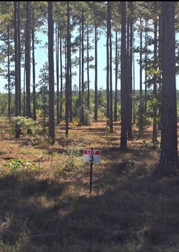 Land Near Toledo Bend Lake
