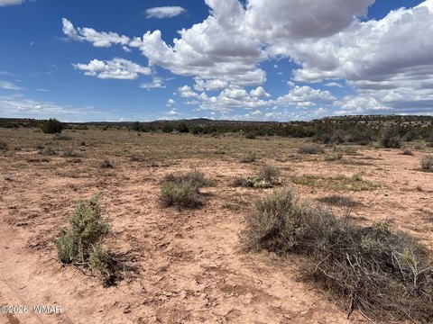 LAND - Snowflake, AZ