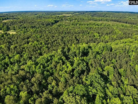LOTS AND ACREAGE, Prosperity, SC