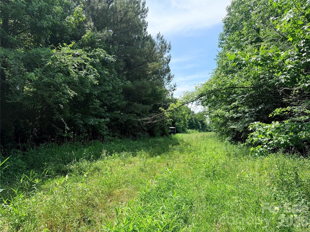 Picture 19