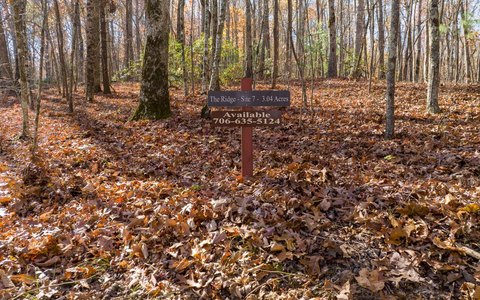 Conservation Community Home Site