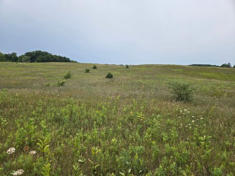 HART, MI