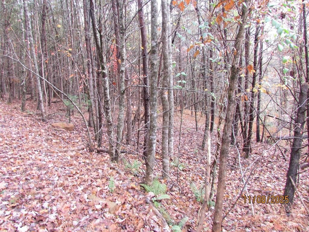 Picture 3
