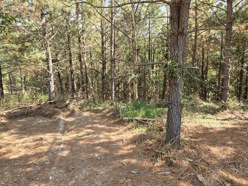Picture 4