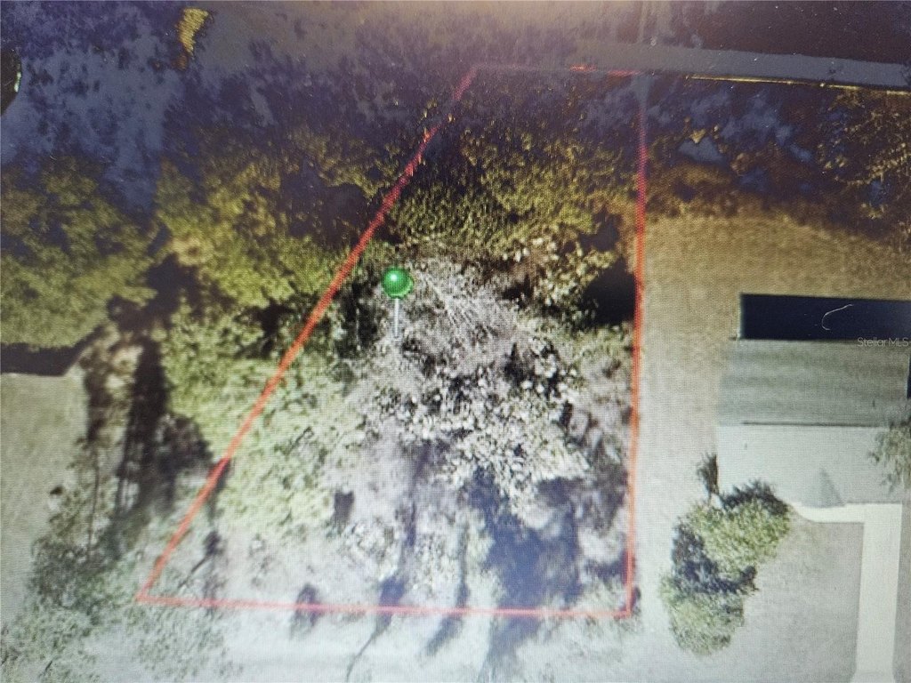 Picture 4