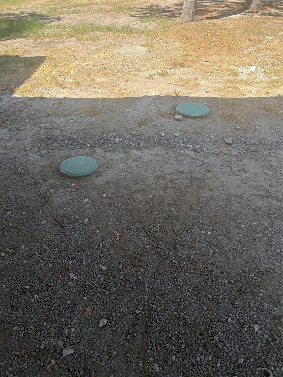 Picture 12
