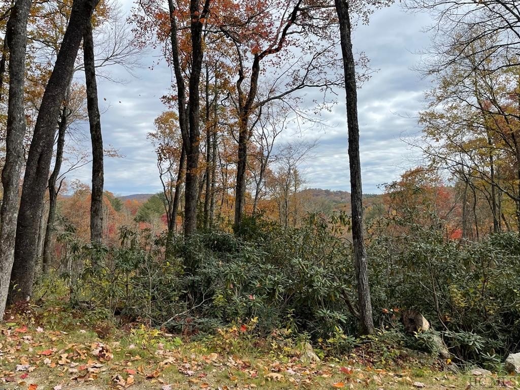 Cashiers, NC Mountain View Land