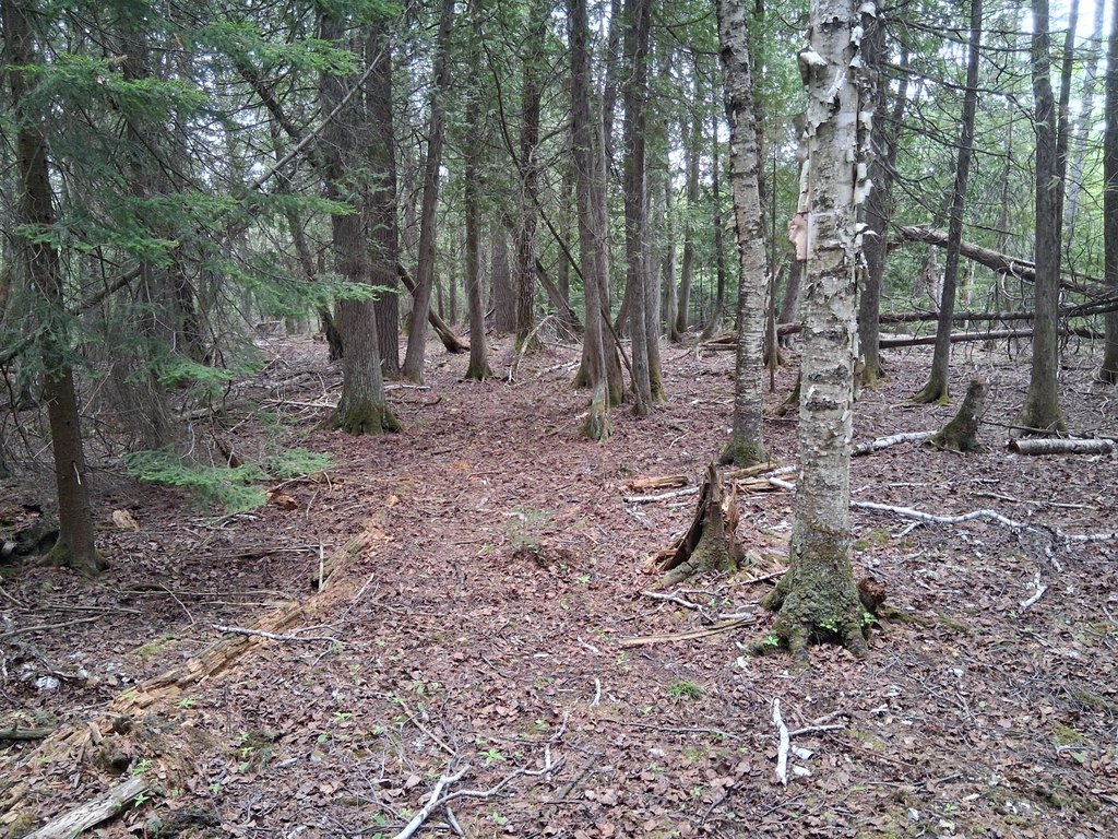 Picture 7