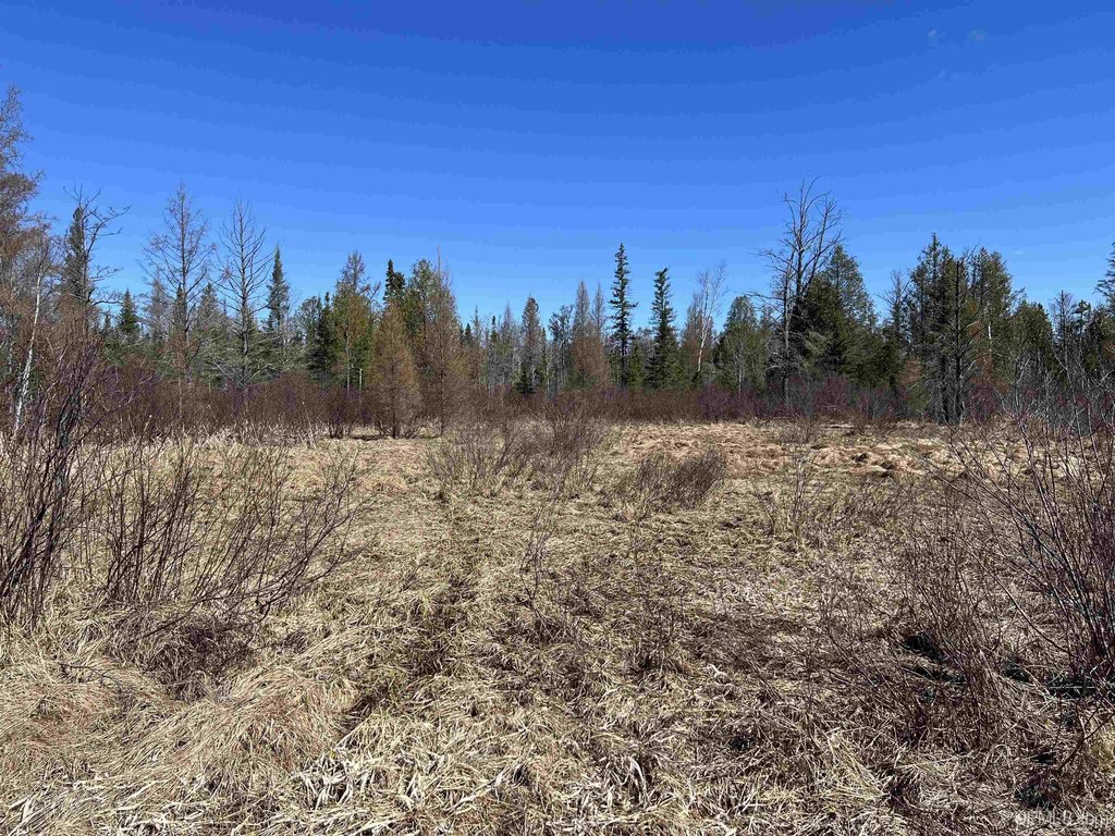 Picture 19