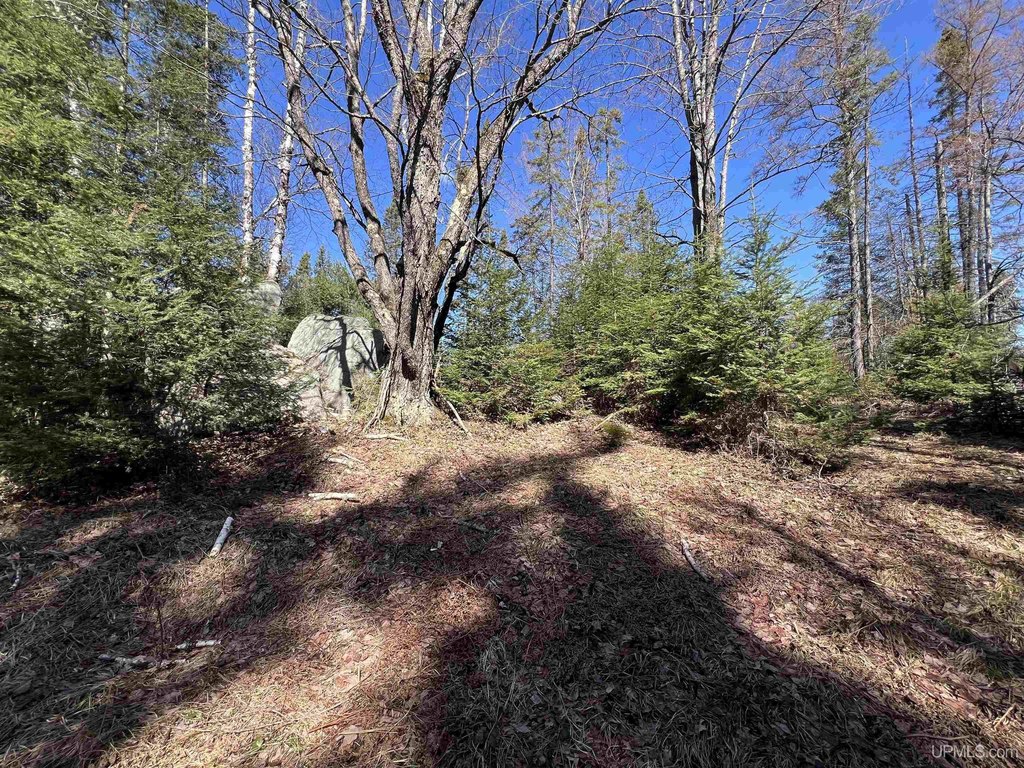 Picture 25