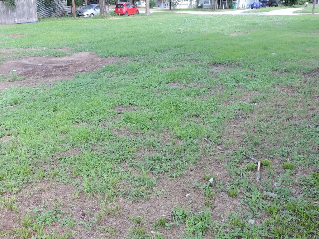 Picture 14
