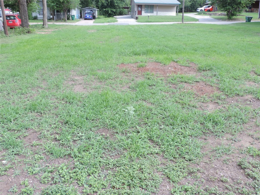 Picture 11