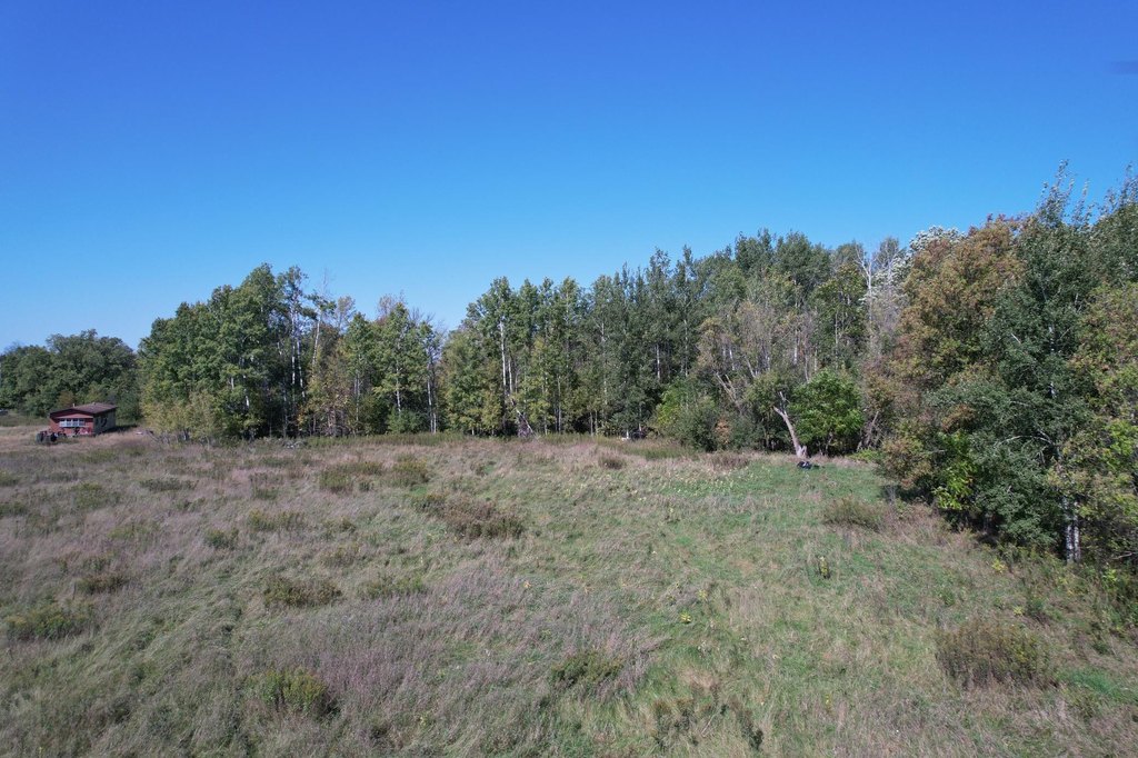 Picture 23