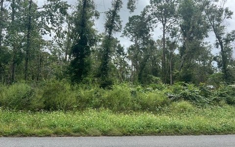 Wooded Homesite Lot in AG-1