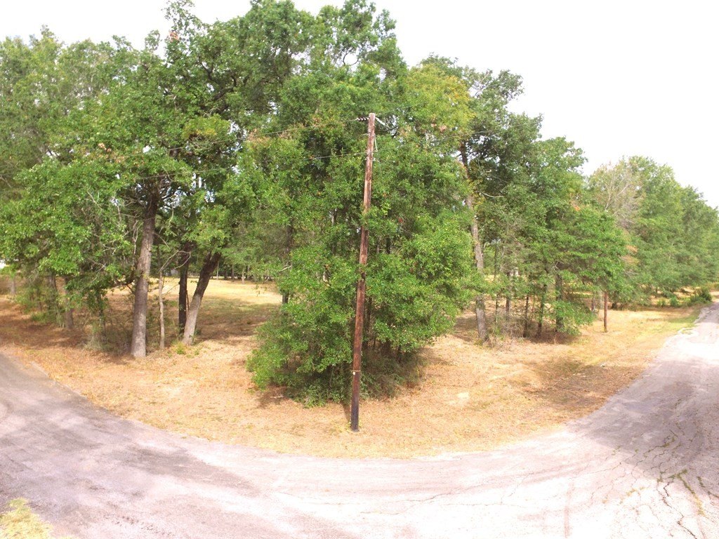 Picture 9