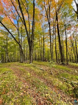LOT/LAND, Duluth, MN
