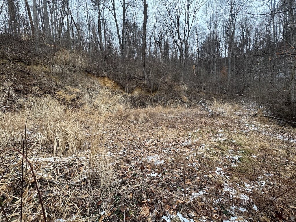 Picture 19