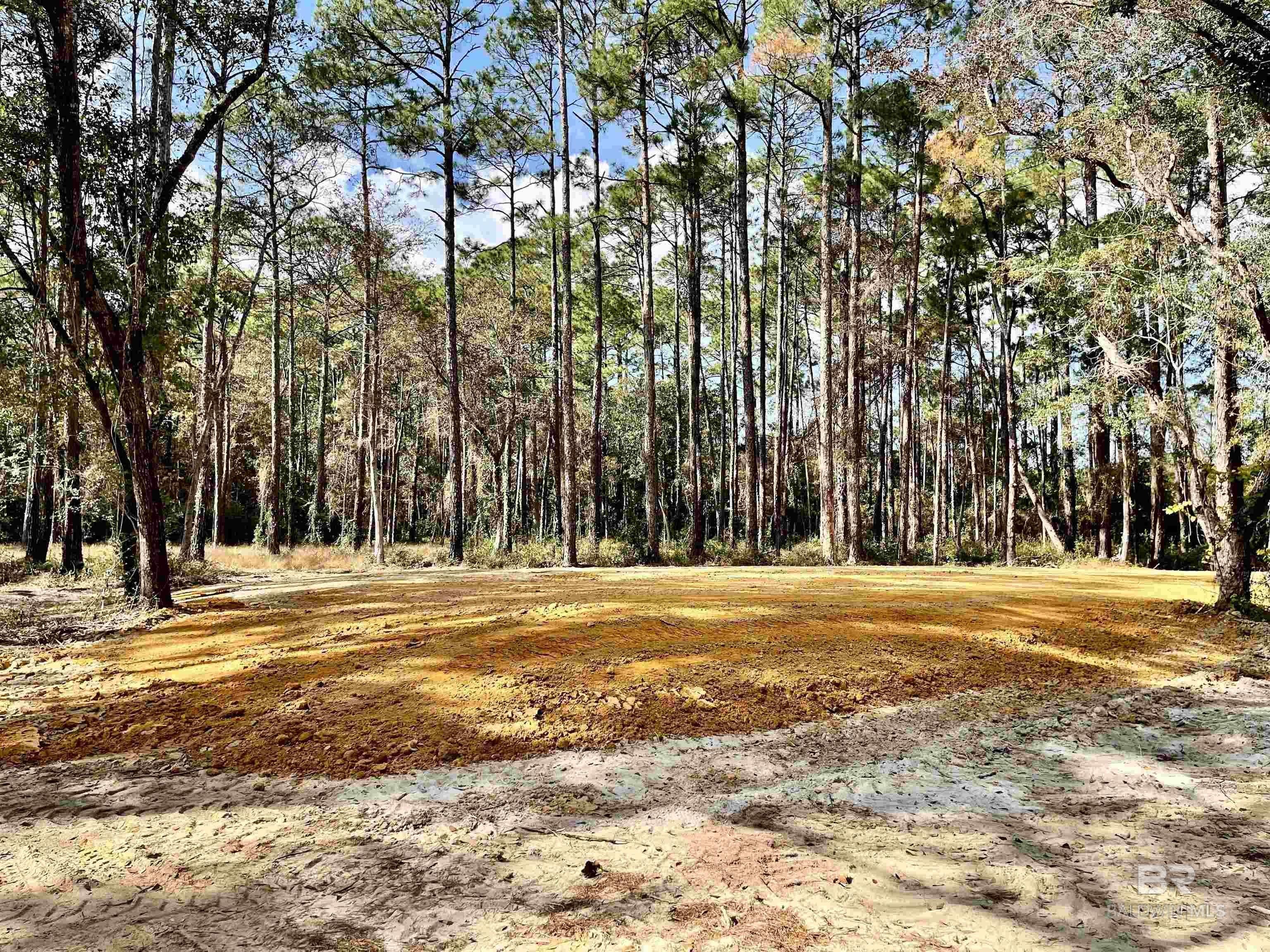 Foley Land with Recreational Paradise