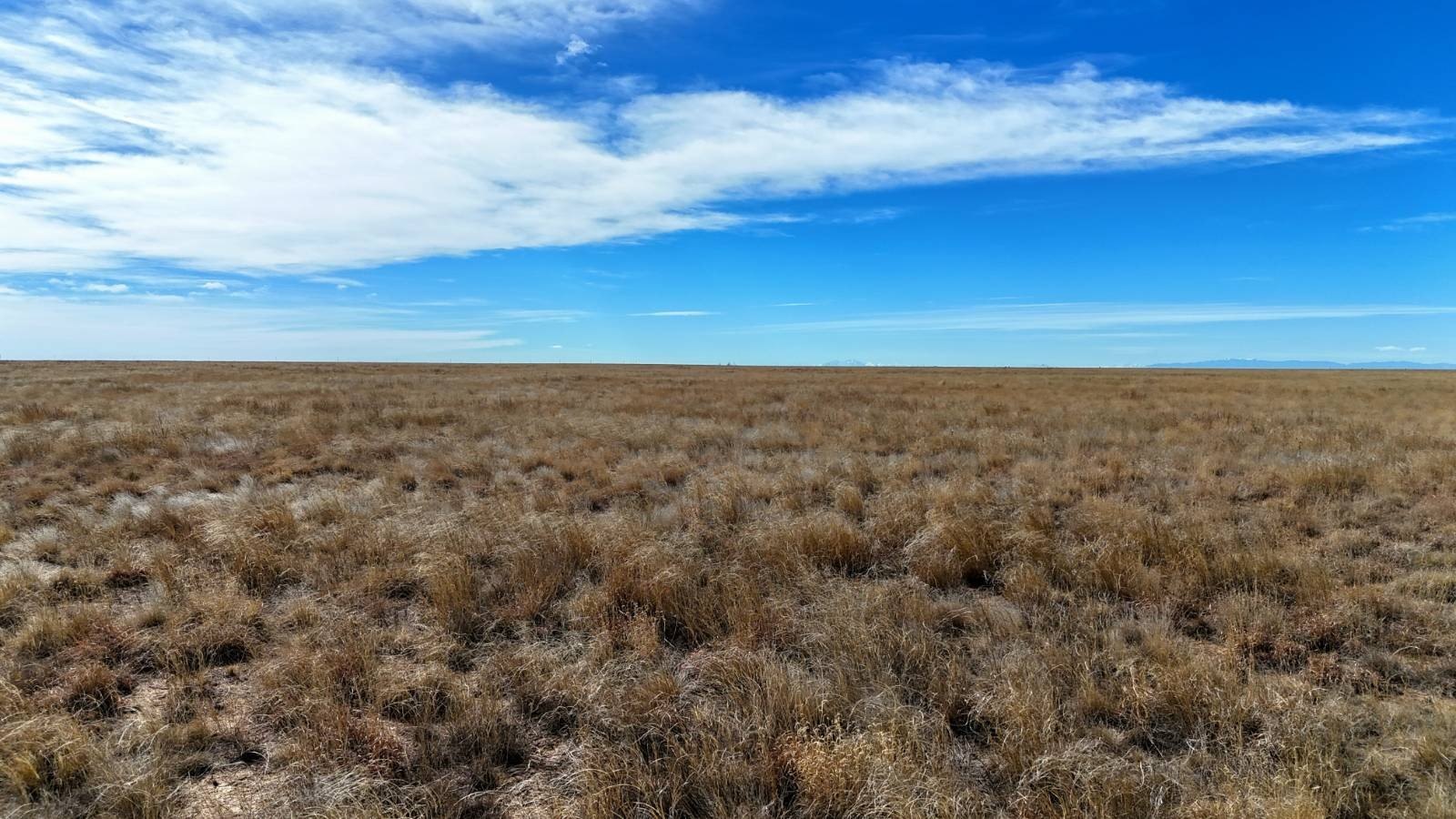 565 Acres CRP Land Investment