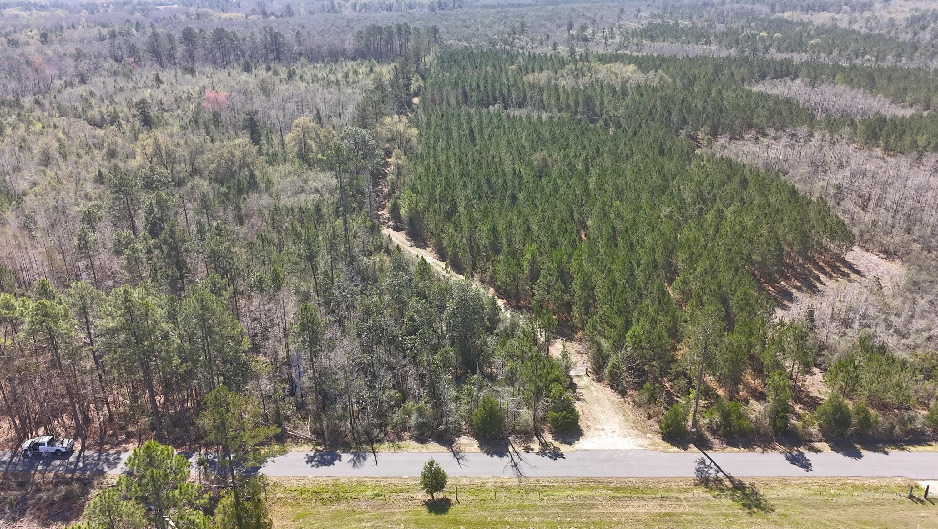 Caryville Land for Country Living