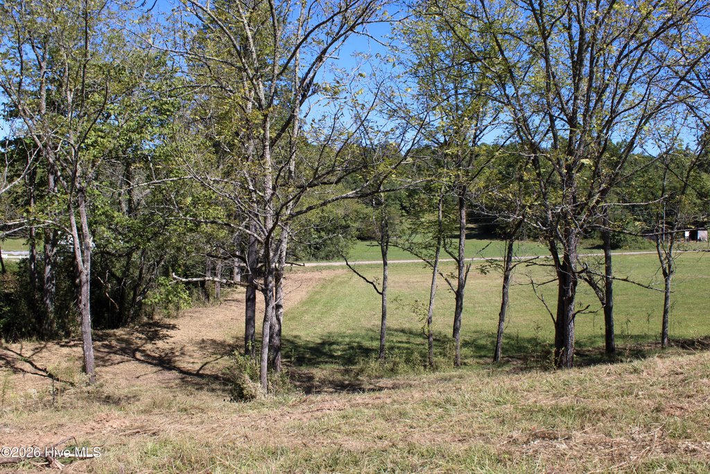 Picture 23