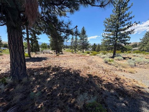 Residential Land Lot with Utilities