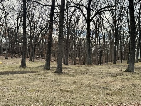 LAND - Putnam, IL