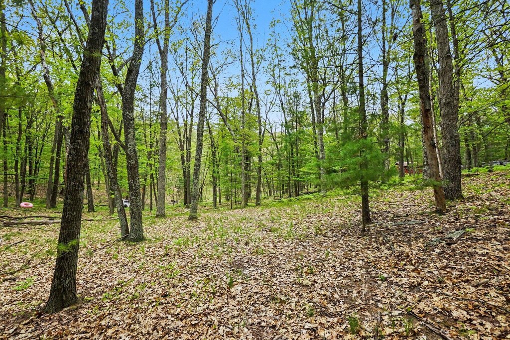 Picture 8