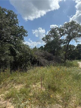 Caldwell, TX Homesite Near Lake