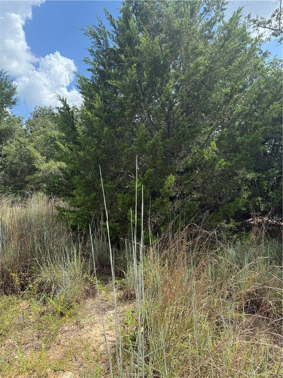 Picture 11