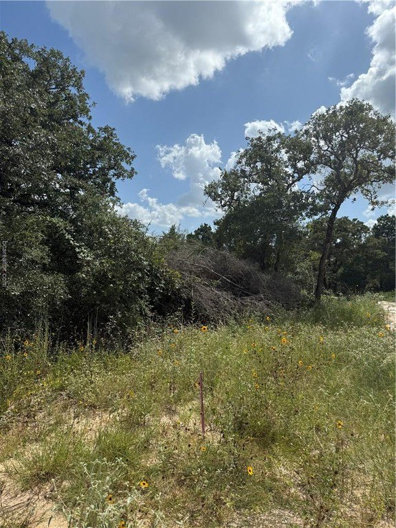 Caldwell, TX Homesite Near Lake